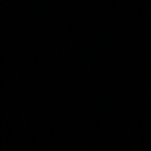 Meet your Posher, Abraham - Picture 1 of 1